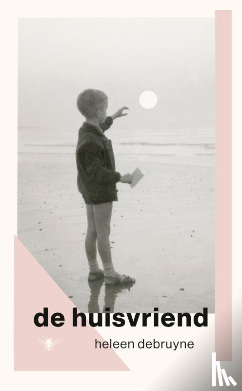 Debruyne, Heleen - De huisvriend