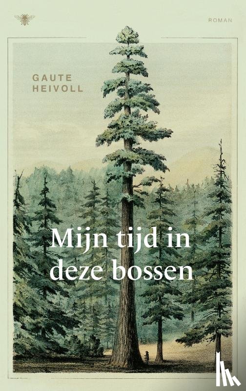 Heivoll, Gaute - Mijn tijd in deze bossen