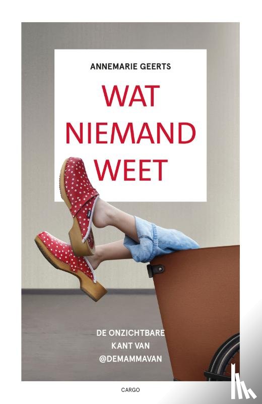 Geerts, Annemarie - Wat niemand weet
