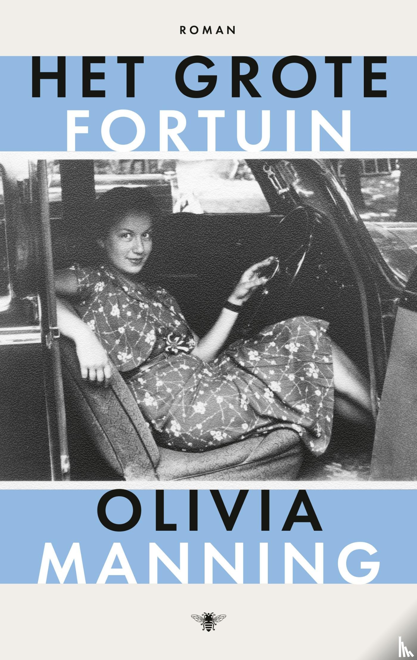 Manning, Olivia - Het grote fortuin