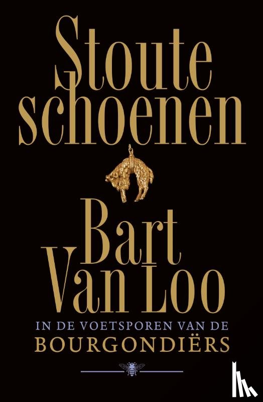 Loo, Bart van - Stoute schoenen