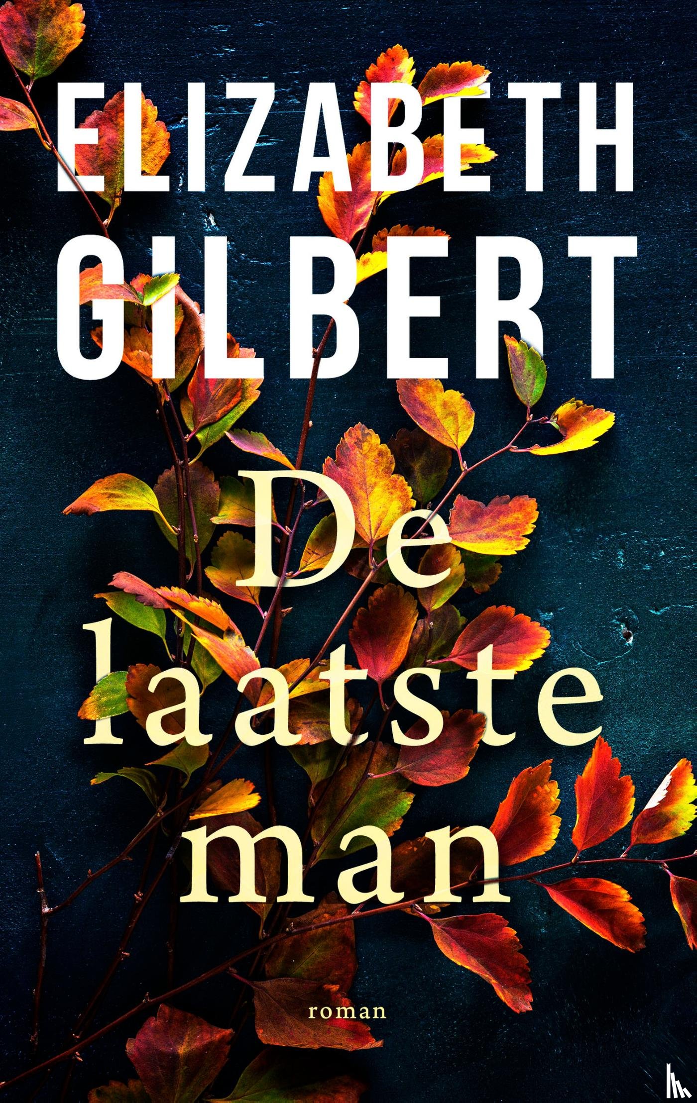 Gilbert, Elizabeth - De laatste man
