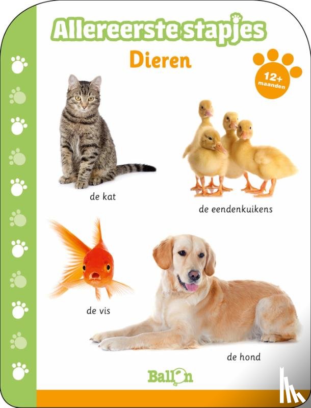  - Dieren 12-18 maanden
