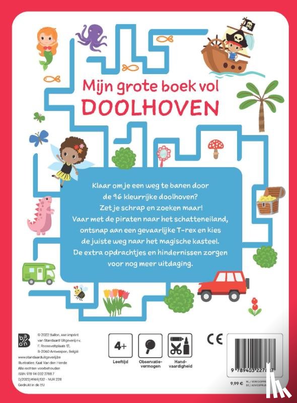  - Mijn grote boek vol doolhoven