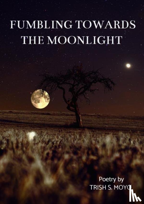 Moyo, Trish - Fumbling towards the moonlight