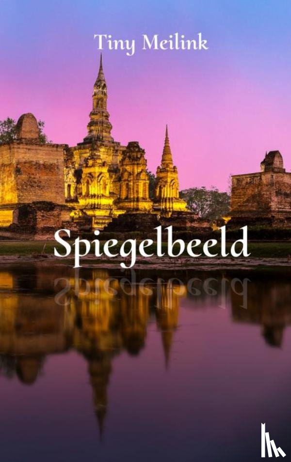 Meilink, Tiny - Spiegelbeeld