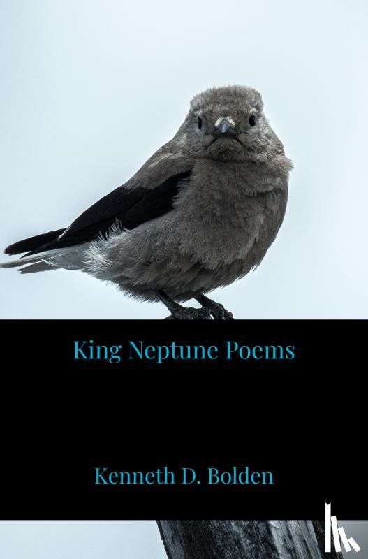 Bolden, Kenneth D. - King Neptune Poems