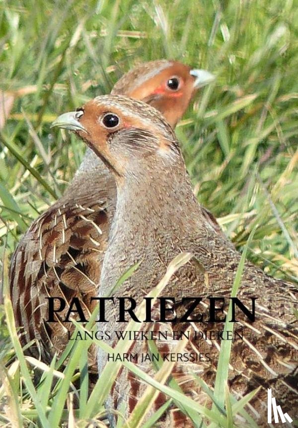 Kerssies, Harm Jan - Patriezen