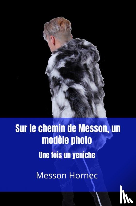 Hornec, Messon - Sur le chemin de Messon, un modèle photo