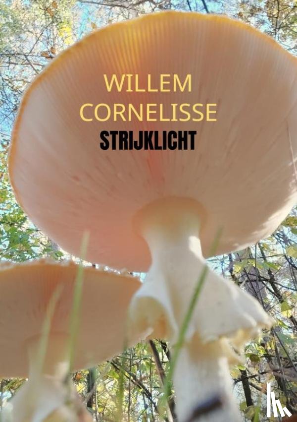 Cornelisse, Willem - Strijklicht