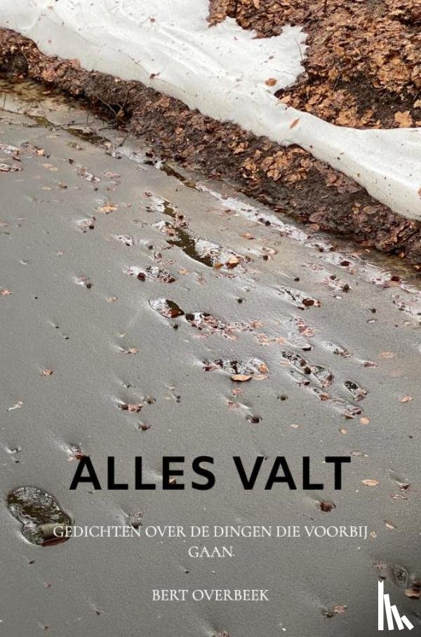 Overbeek, Bert - Alles valt