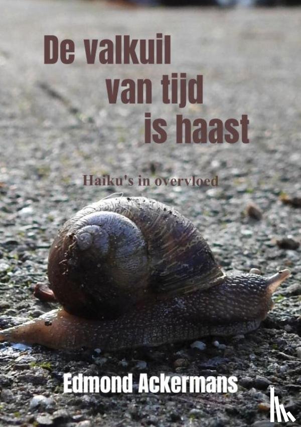 Ackermans, Edmond - De valkuil van tijd is haast