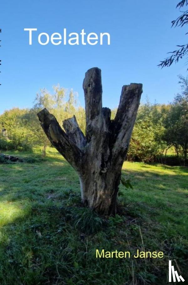 Janse, Marten - Toelaten
