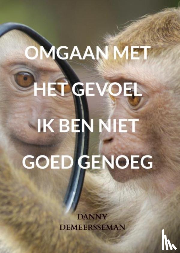 Demeersseman, Danny - Omgaan met het gevoel ik ben niet goed genoeg