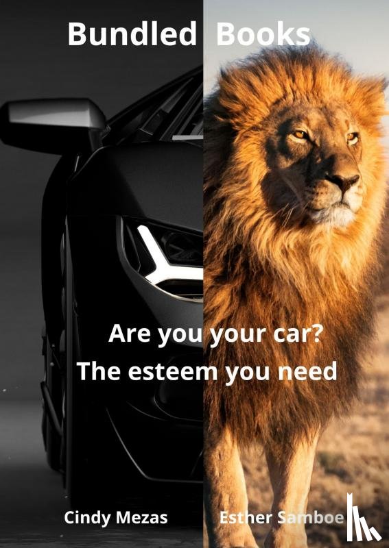Esther Samboe, Cindy Mezas - Bundled Books: Are You Your Car? | The Esteem You Need