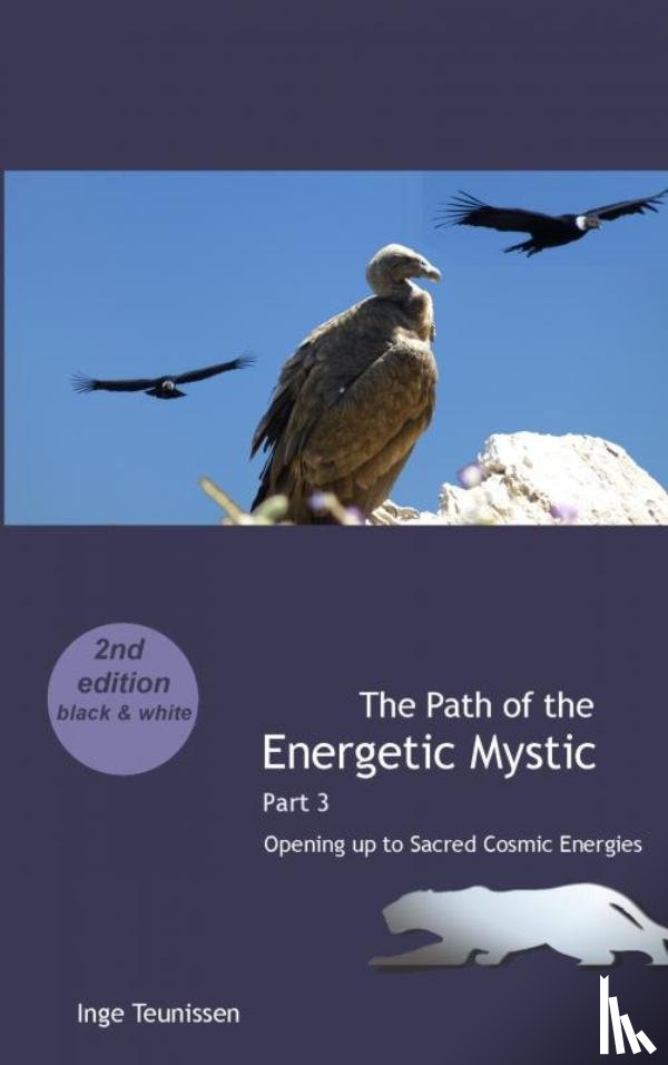 Teunissen, Inge - The Path of the Energetic Mystic