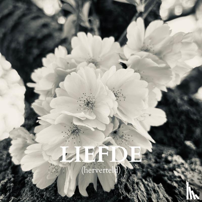 Bodhi, Noah - Liefde