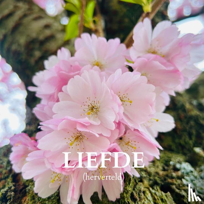 Bodhi, Noah - Liefde