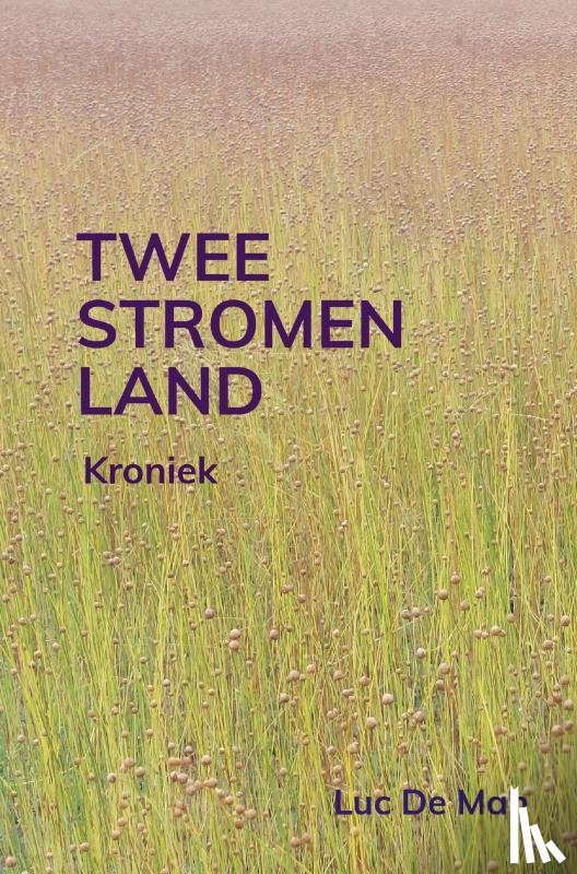 De Man, Luc - Tweestromenland