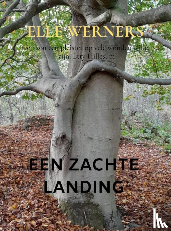 WERNERS, ELLE - EEN ZACHTE LANDING