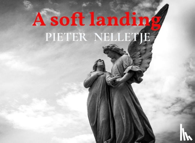 Nelletje, Pieter - A soft landing oblong