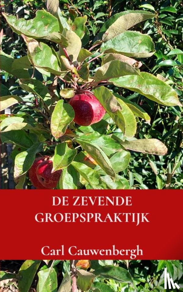 Cauwenbergh, Carl - De zevende groepspraktijk