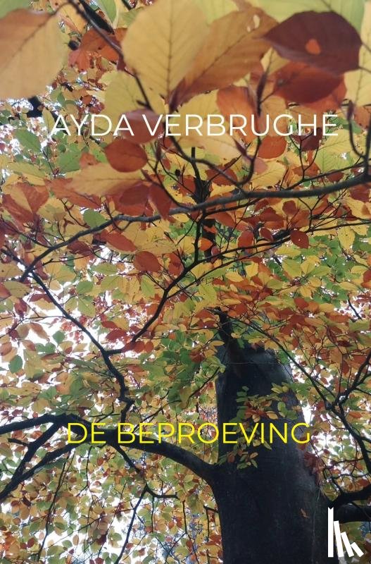 Verbrughe, Ayda - De Beproeving