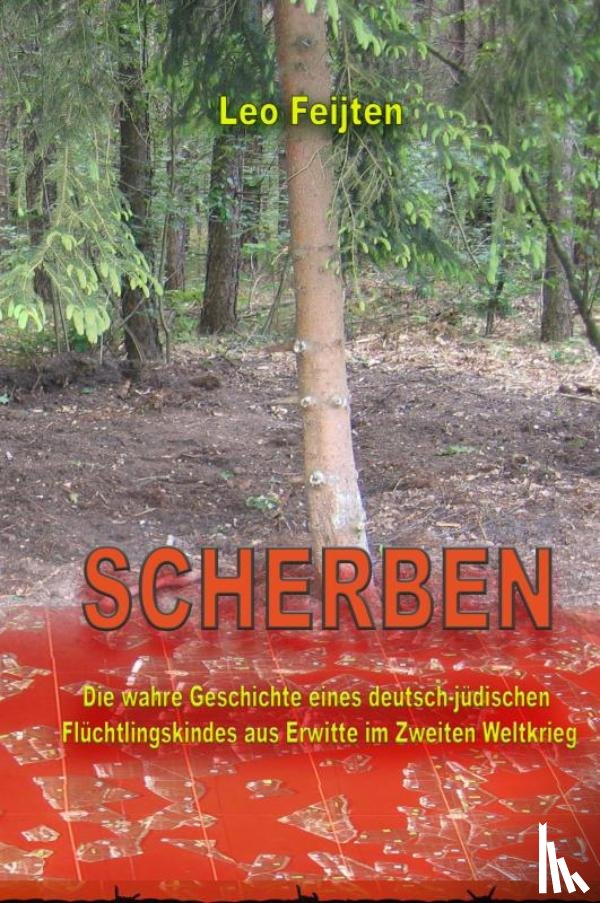 Feijten, Leo - SCHERBEN