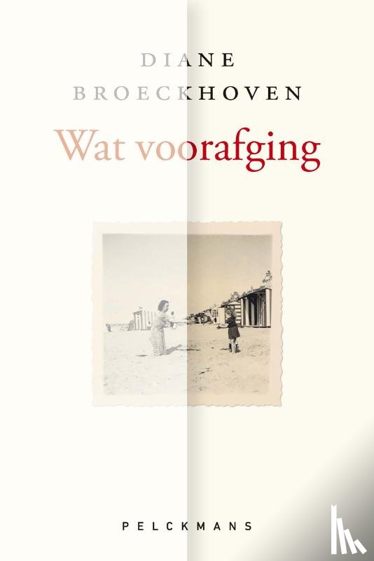 Broeckhoven, Diane - Wat voorafging
