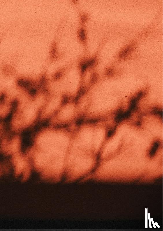 Van Reeth, Nathalie - Rooted Spaces