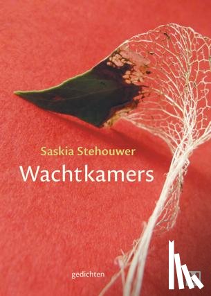 Stehouwer, Saskia - Wachtkamers