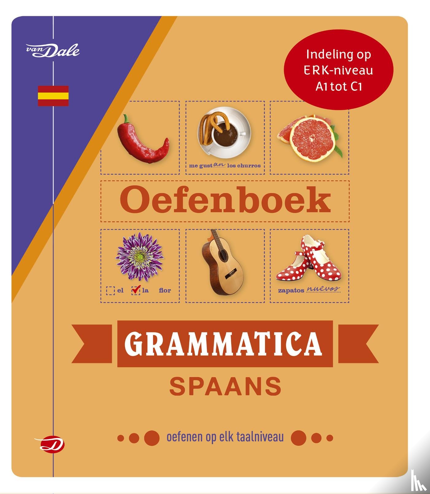 Irún Chavarría, Christina - Van Dale Oefenboek grammatica Spaans