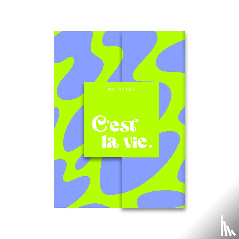  - My notes - C'est la vie.