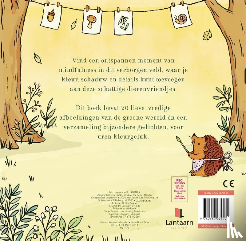  - Kleine vriendjes van het verborgen veld