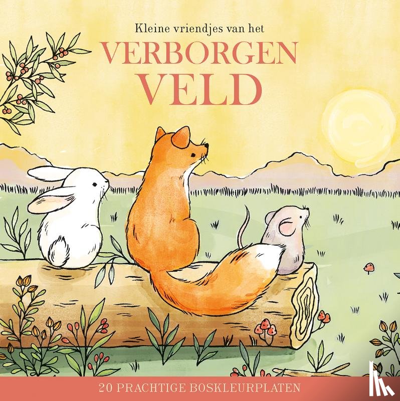  - Kleine vriendjes van het verborgen veld