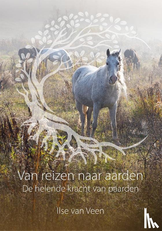 Veen, Ilse van - Van reizen naar aarden