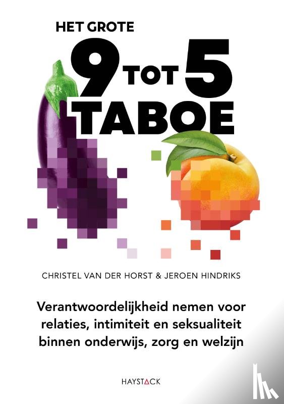Horst, Christel van der, Hindriks, Jeroen - Het grote 9-tot-5-taboe