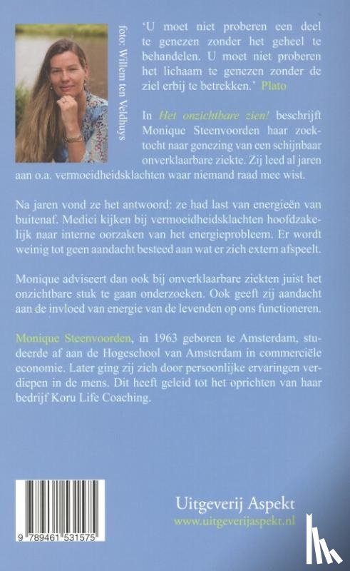 Steenvoorden, Monique - Het onzichtbare zien!
