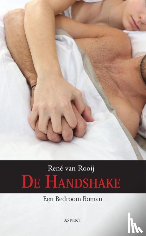 Rooij, René van - De handshake