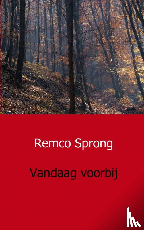 Sprong, Remco - Vandaag voorbij