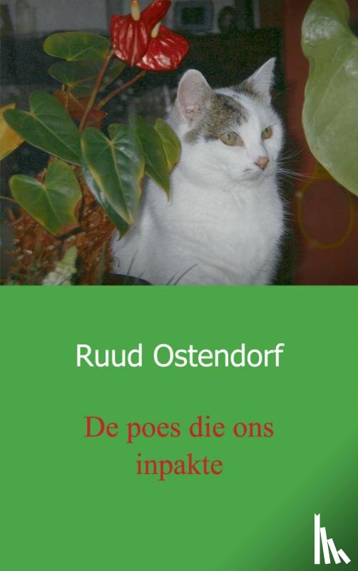 Ostendorf, Japke en Ruud Ostendorf - De poes die ons inpakte