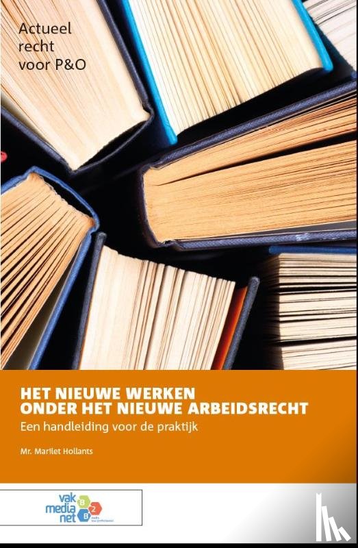 Hollants, Marilet - Het nieuwe werken onder het nieuwe arbeidsrecht