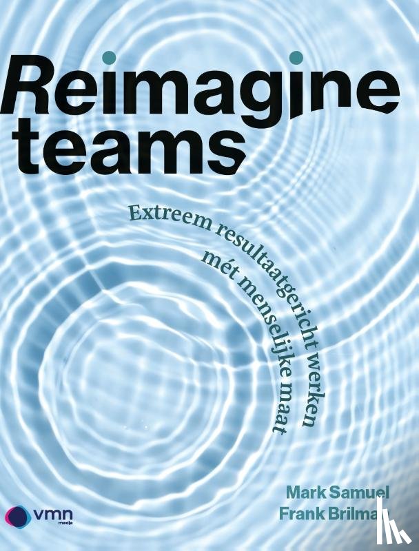Brilman, Frank - Reimagine Teams