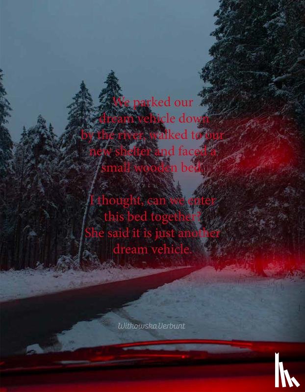 WitkowskaVerbunt - The Dream Vehicle