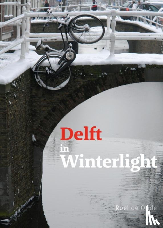 Oude, Roel de - Delft in Winterlight
