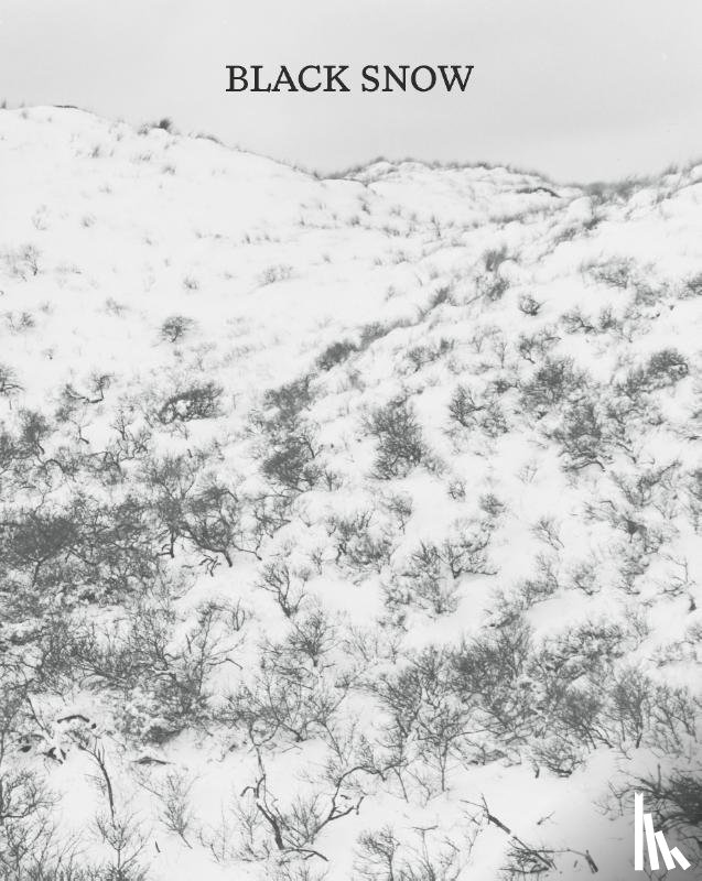 Poel, Harm van de - Black Snow