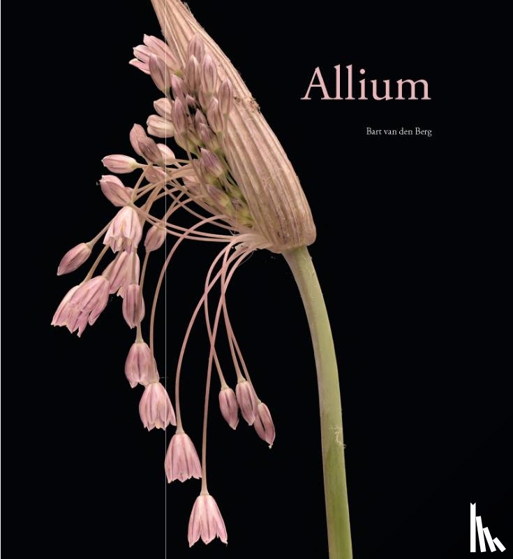 Berg, Bart van den - Allium