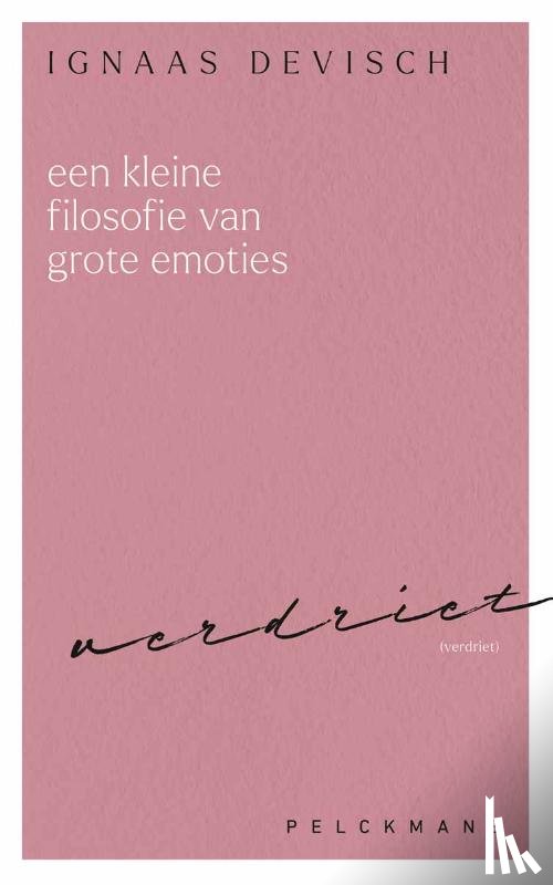 Devisch, Ignaas - Een kleine filosofie van grote emoties: Verdriet