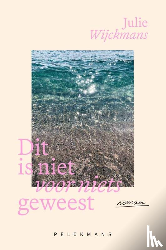 Wijckmans, Julie - Dit is niet voor niets geweest