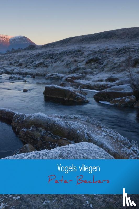 Beckers, Peter - Vogels vliegen